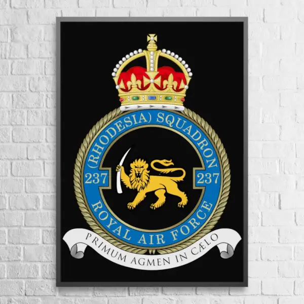 The Royal Air Force Poster, 237 Squadron of The Royal Air Force Wall Poster